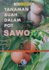 Image of TANAMAN BUAH DALAM POT SAWO